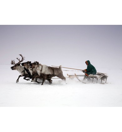 О мальчике и чудесной птице - Энецкая сказка